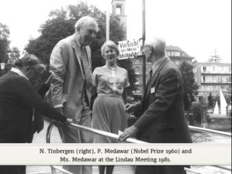 Nikolaas  Tinbergen (1981) - An Effective Therapy of Childhood Autism