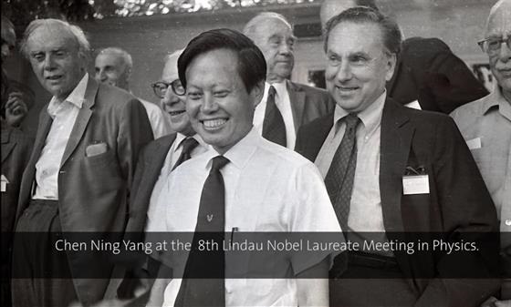 Chen Yang (1973) - The Structure of the Proton