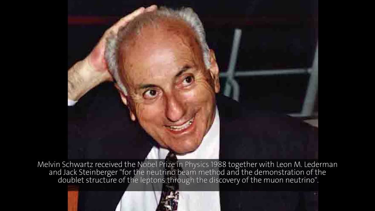 Melvin Schwartz (1991) - Studying the Coulomb State of a Pion and a Muon