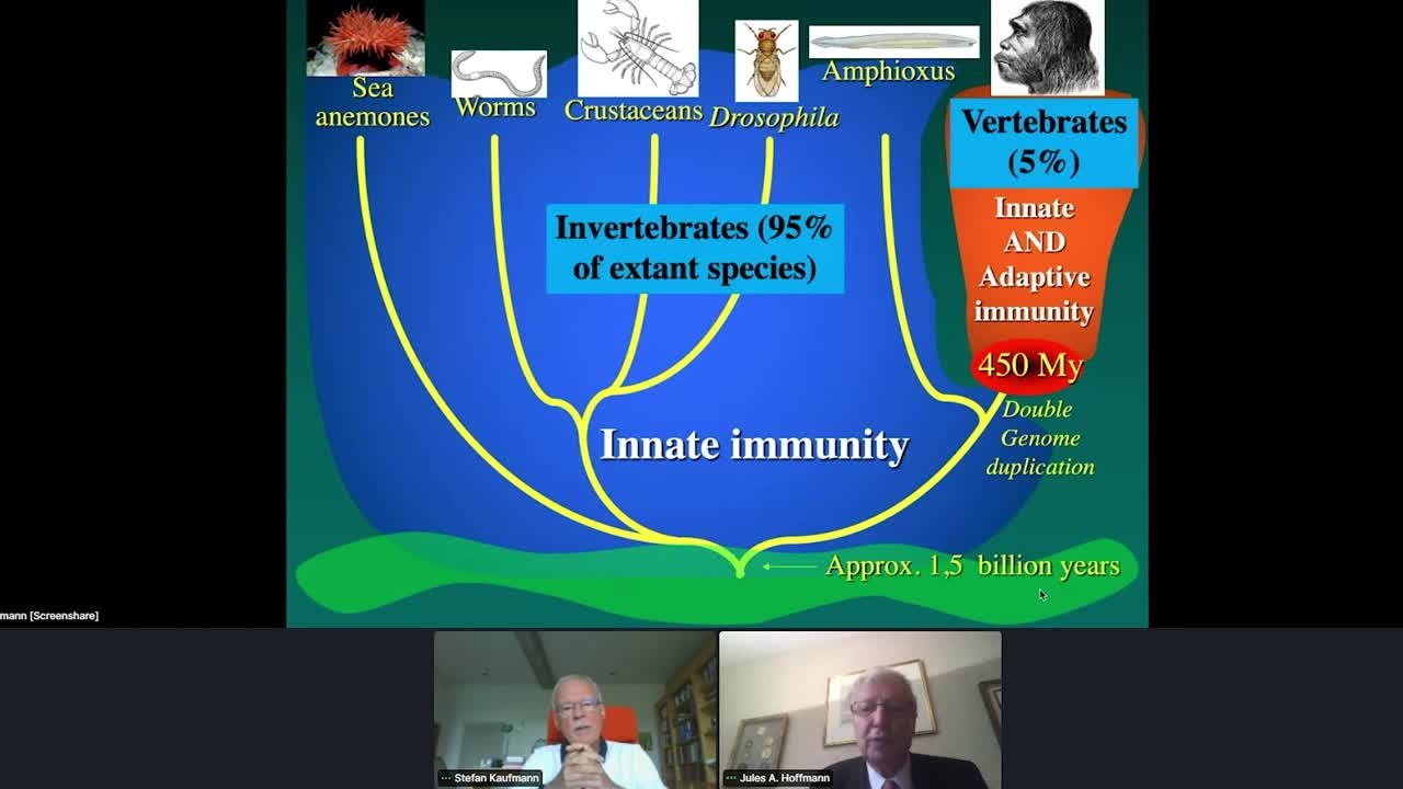 Innate Immunity (2021) - Jules A. Hoffmann; Moderator: Stefan Kaufmann