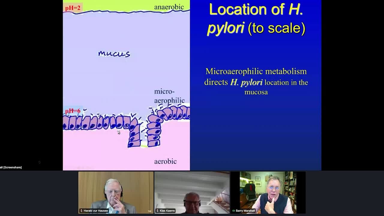 Infectious Agents and Cancer  (2021) - Harald zur Hausen, Barry J. Marshall; Moderator: Klas Kärre