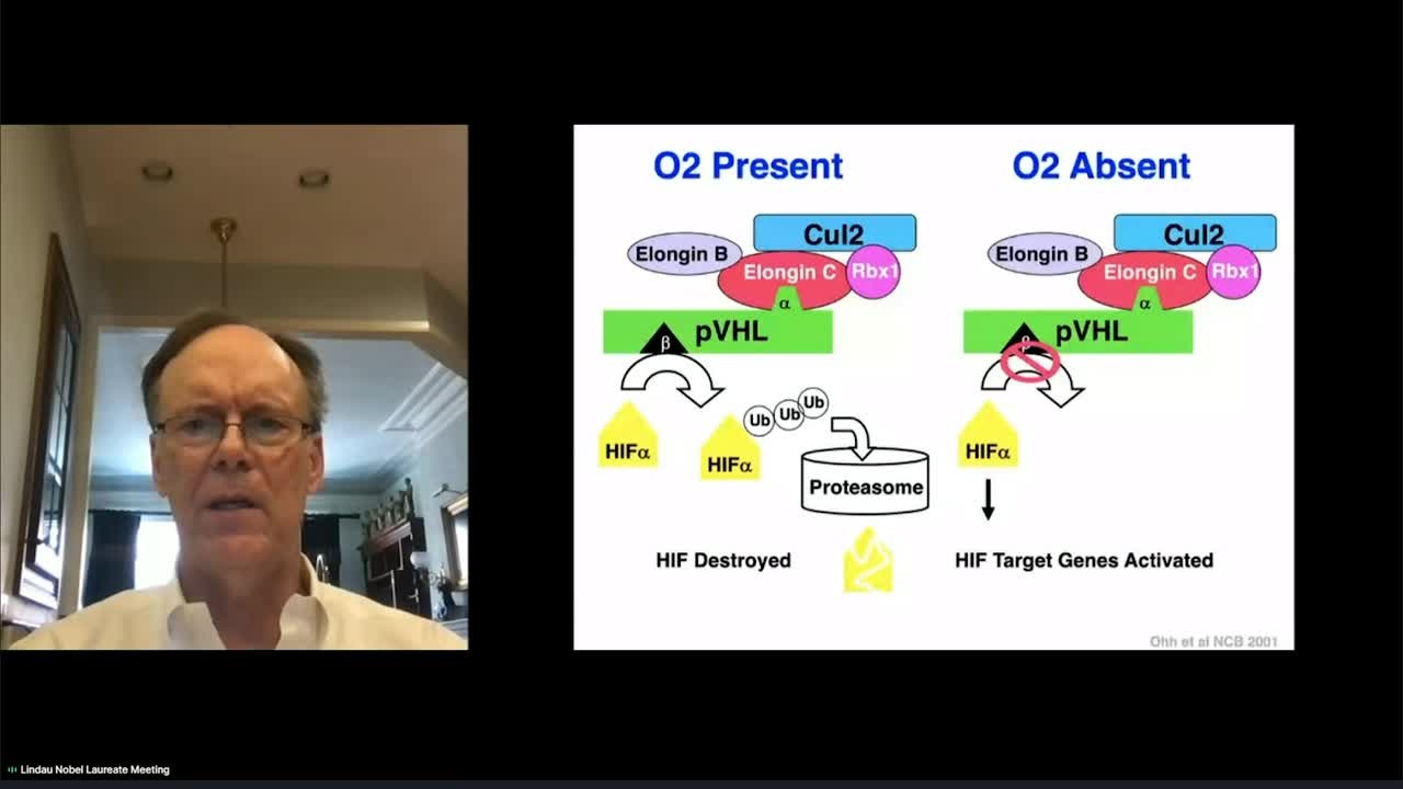 The von Hippel-Lindau Hereditary Cancer Syndrome: From Bedside to Bench to Bedside (2021) - William G. Kaelin, Jr.