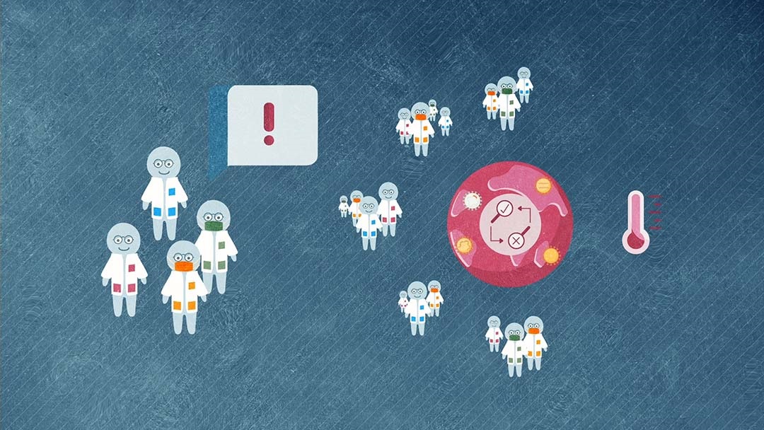 COVID-19: Important Realizations for Global Crises (Part 3/3) (2021)