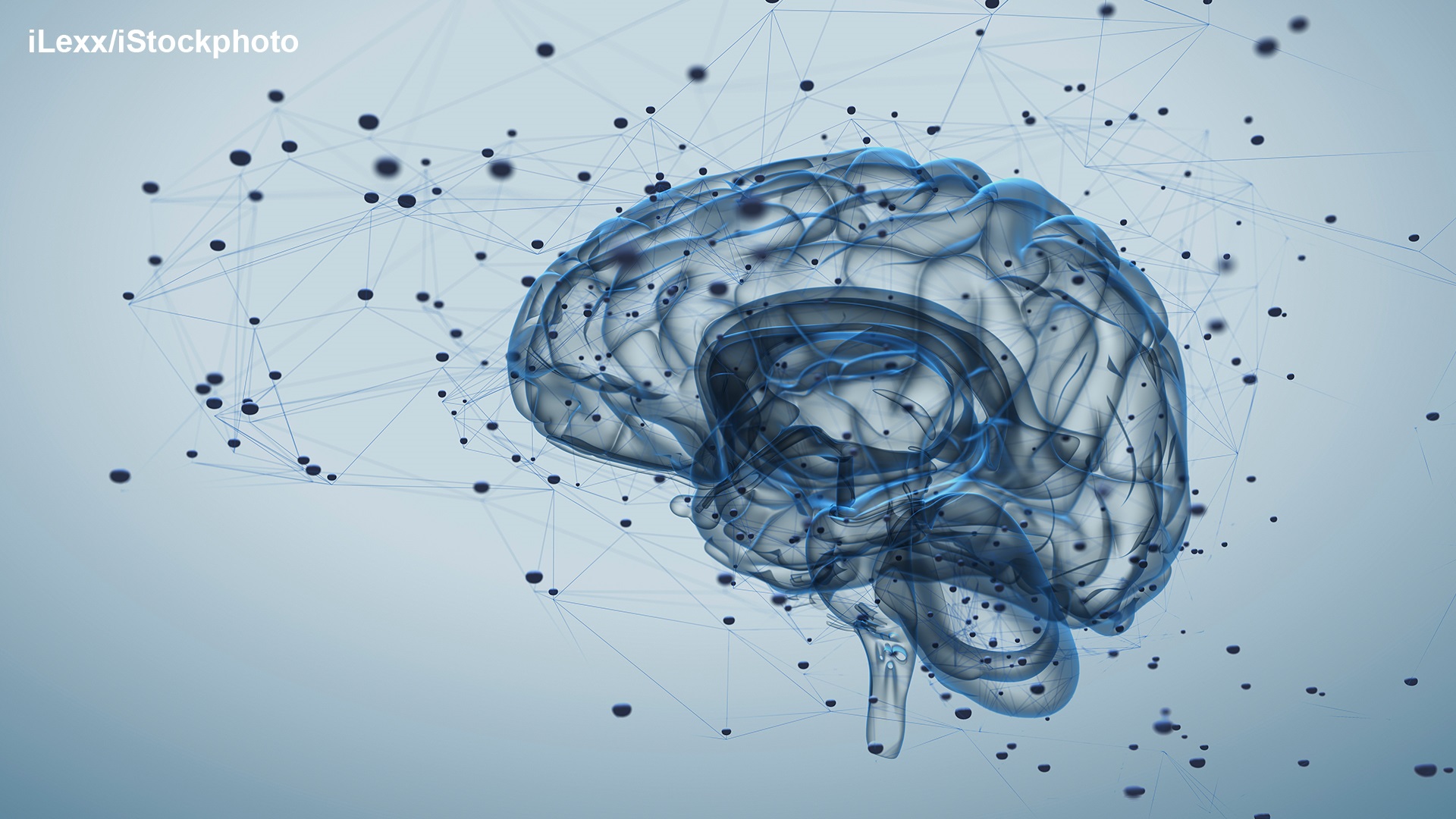 Photo of Transmission of Information in the Brain