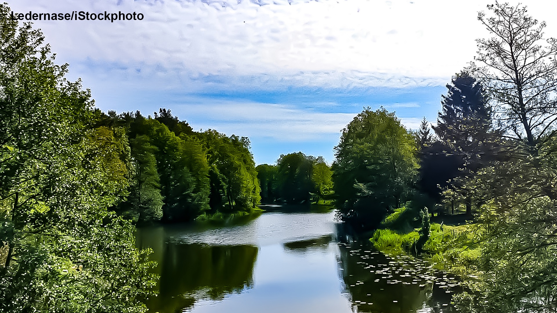 Photo of Environmentalism: A Global Challenge