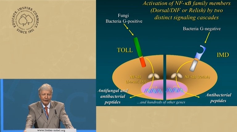 Jules Hoffmann (2014) - Innate Immunity: From Flies to Humans