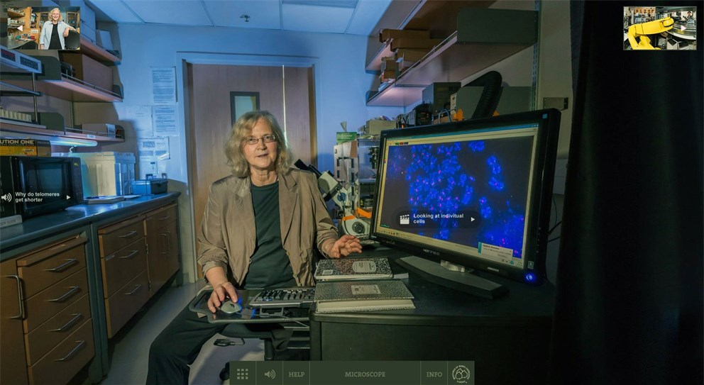 Click on the Banner to Start Nobel Labs 360'