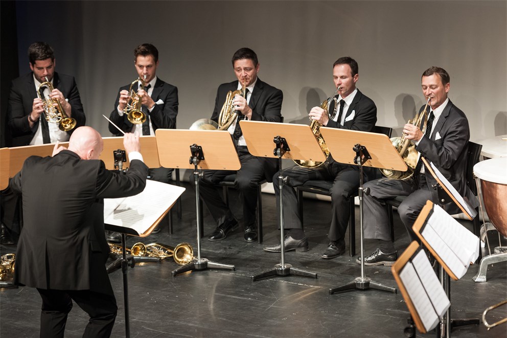 Concert with the Vienna Philharmonic Orchestra.