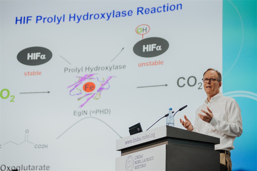 William Kaelin Jr. presenting his lecture at the 71st Lindau Nobel Lauerate Meeting.